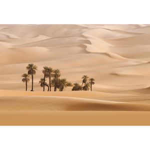 Fototapet Dune DD119038 A.S. Création Designwalls