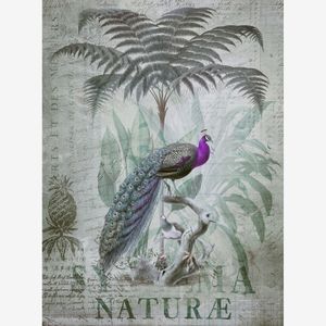 Fototapet PeacockJungle1 DD119709 A.S. Création ARTist