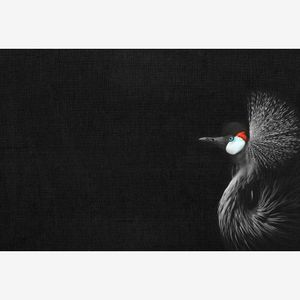 Fototapet CrownedCraneBlack DD119805 A.S. Création ARTist