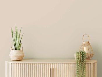 The Color Kitchen "TCK6000 Sweet Sesame"