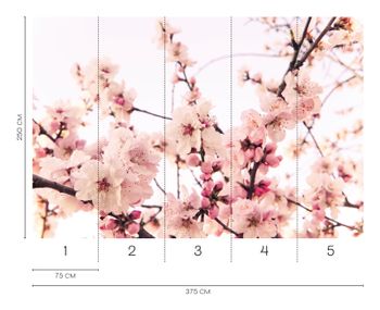 Fototapet körsbärsblommor i brunt och rosa