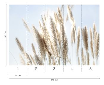 Fototapet pampasgräs i solljus i beige och blått