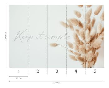 Fototapet Lagurusgräs i beige och crème