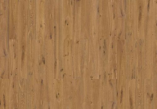 Cortex Designatura Eco "80004135 Ek Mars"