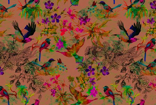 Fototapet funky birds 3 DD110186 Livingwalls Walls by Patel