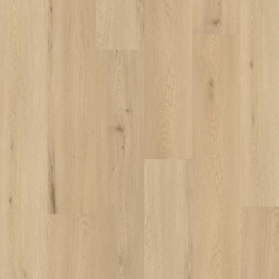 Ter Hürne Classic Choice Solid "I03 Ek Amsterdam"