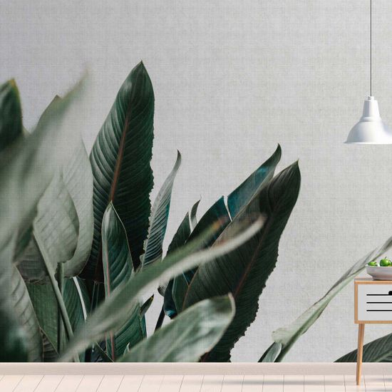Fototapet urban jungle 1 DD114212 Livingwalls Walls by Patel