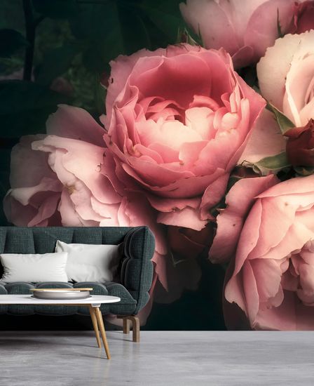 Fototapet rosor i crème och rosa